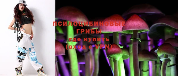 хмурый Вязьма