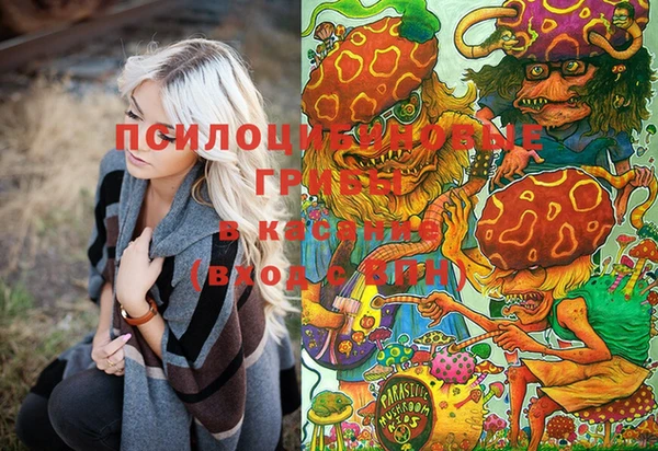хмурый Вязьма