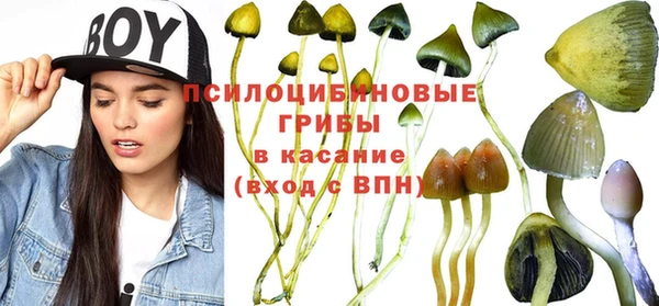 марихуана Вяземский
