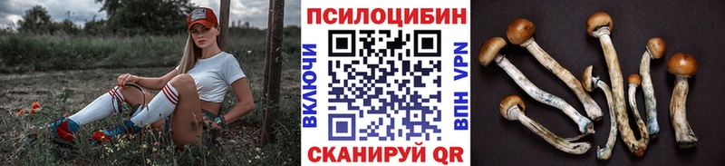 даркнет как зайти  Омск  Галлюциногенные грибы GOLDEN TEACHER 